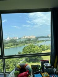 The Riverine By The Park (D12), Apartment #580739411